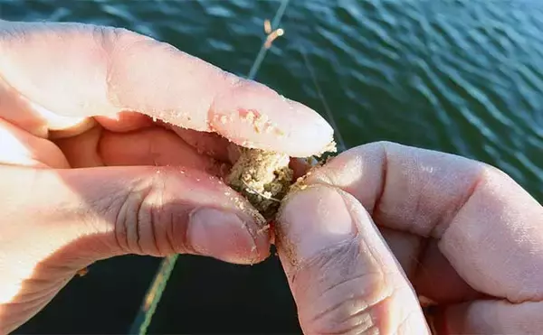 「吉田康雄のザ・チャレンジへらぶな　【ヤグラ＋1品目縛り#2】」の画像