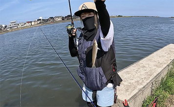 チョイ投げハゼ釣りで本命にキス好捕【新潟・関川】キビレとヒイラギの猛攻に苦戦