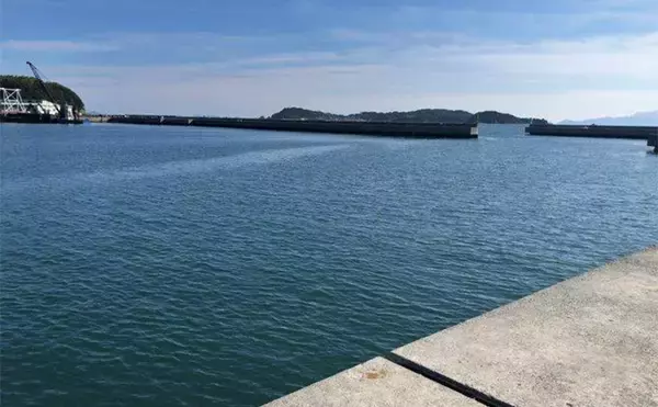 「陸っぱりヒラメゲームで「60cmランカー級マゴチ」がヒット！ 本命不発もゲスト連発」の画像