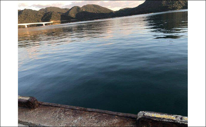 陸っぱりヒラメゲームで「60cmランカー級マゴチ」がヒット！ 本命不発もゲスト連発