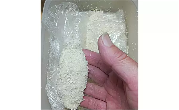 「釣魚で作る「ビールのおつまみ」レシピ：マルセイゴのチーズカツ　パン粉は強めに付けて」の画像