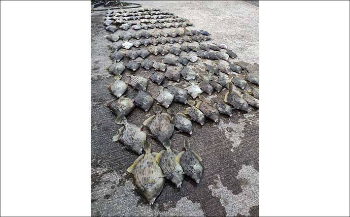 【沖釣り釣果速報】Wヒット連発！富山沖の船カワハギ釣りで肝パンサイズ続出（北陸）