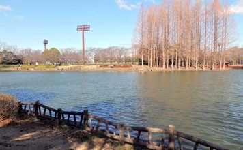 今週のヘラブナ推薦釣り場【埼玉県・北本総合公園】