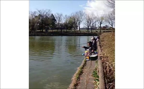 「今週のヘラブナ推薦釣り場【埼玉県・北本総合公園】」の画像