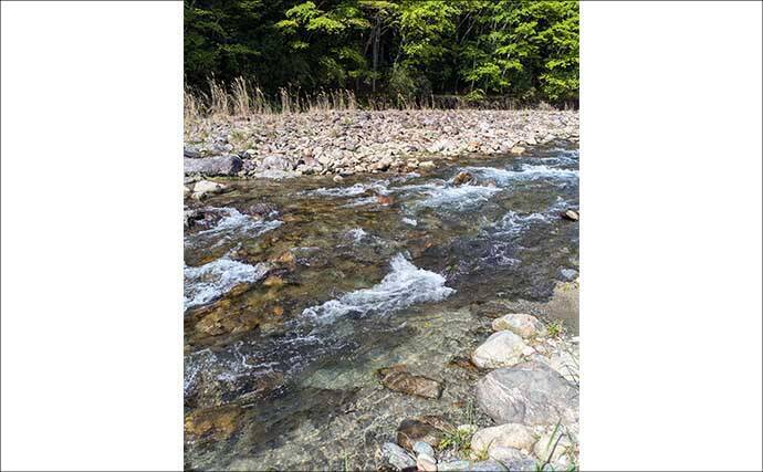 櫛田川上流アユ釣り解禁情報2026【三重県】　濃密放流で魚影バツグン！