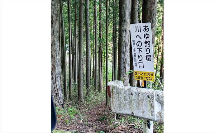 櫛田川上流アユ釣り解禁情報2026【三重県】　濃密放流で魚影バツグン！