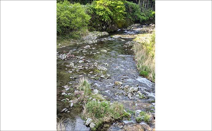 櫛田川上流アユ釣り解禁情報2026【三重県】　濃密放流で魚影バツグン！