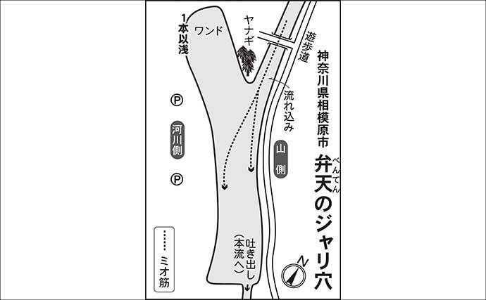 今週のヘラブナ「ピックアップ」釣り場2026【神奈川県・弁天のジャリ穴】