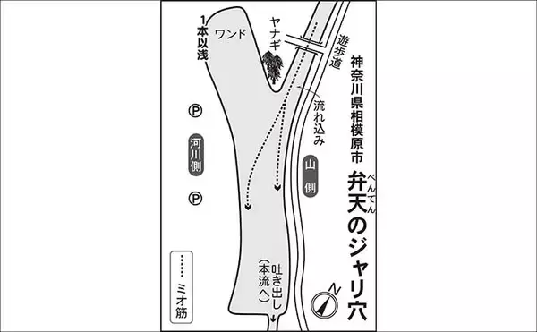 「今週のヘラブナ「ピックアップ」釣り場2026【神奈川県・弁天のジャリ穴】」の画像