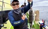 「東京湾の「湾フグ釣り」でショウサイフグを好捕【新明丸】速潮で難易度アップ」の画像1