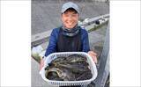「東京湾の「湾フグ釣り」でショウサイフグを好捕【新明丸】速潮で難易度アップ」の画像4