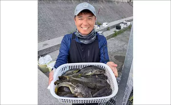 「東京湾の「湾フグ釣り」でショウサイフグを好捕【新明丸】速潮で難易度アップ」の画像