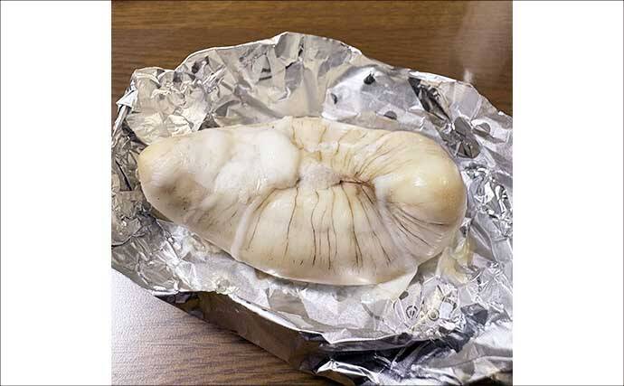 東京湾の「湾フグ釣り」でショウサイフグを好捕【新明丸】速潮で難易度アップ