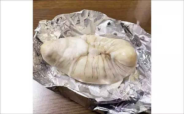 「東京湾の「湾フグ釣り」でショウサイフグを好捕【新明丸】速潮で難易度アップ」の画像