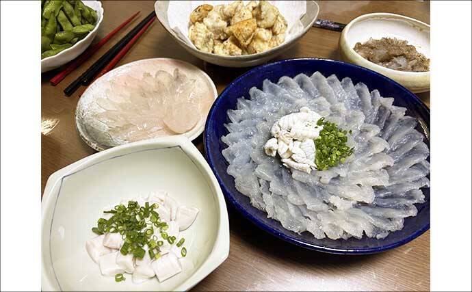 東京湾の「湾フグ釣り」でショウサイフグを好捕【新明丸】速潮で難易度アップ