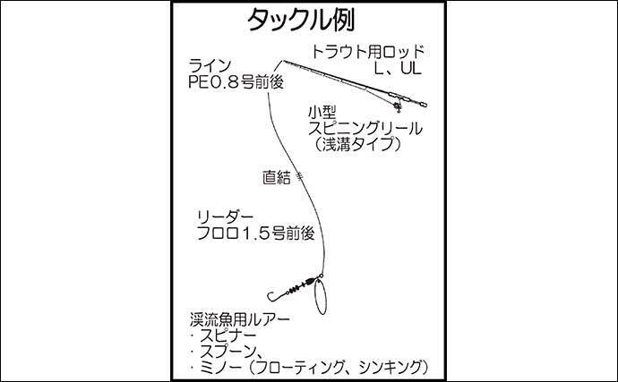 22年 渓流ルアー釣り入門 ルアー 操作法 ポイント選び方を解説 22年4月1日 エキサイトニュース