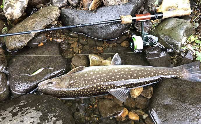 トラウト狙いのルアーフィッシングにおける【釣行費節約テクニック4選】