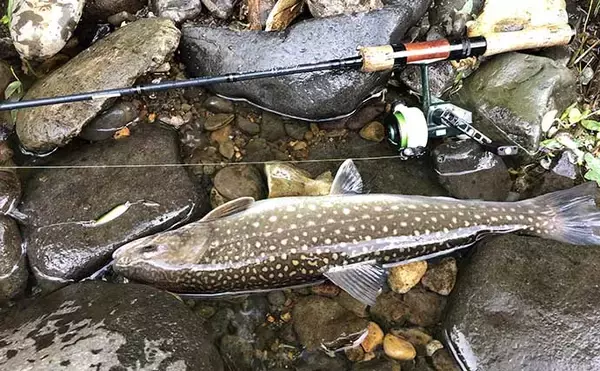 「トラウト狙いのルアーフィッシングにおける【釣行費節約テクニック4選】」の画像