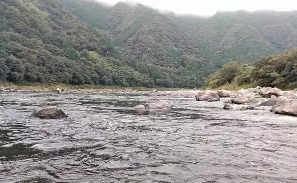 「四万十川の大アユ釣りで31.6cm尺アユ登場！【高知】2日間で3尾の尺超え達成」の画像