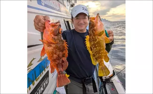 「【沖釣り釣果速報】浦島礁のジャンボメダイ船が好調！船中12匹の好実績（福井）」の画像
