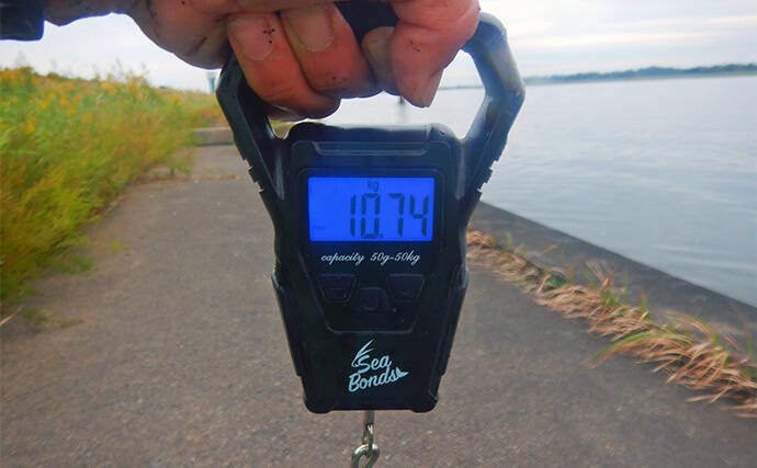 淡水五目釣りで91cm大型ゴイを手中【常陸利根川】ダントウボウとアメナマは連発