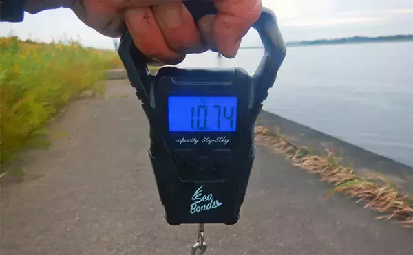 「淡水五目釣りで91cm大型ゴイを手中【常陸利根川】ダントウボウとアメナマは連発」の画像