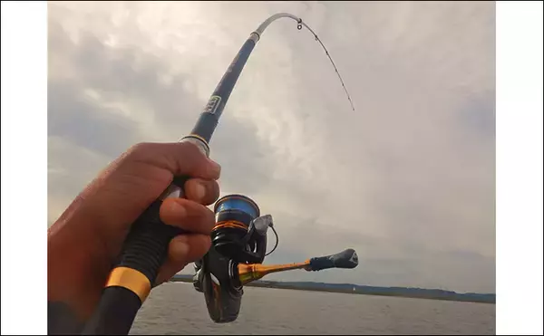 「淡水五目釣りで91cm大型ゴイを手中【常陸利根川】ダントウボウとアメナマは連発」の画像