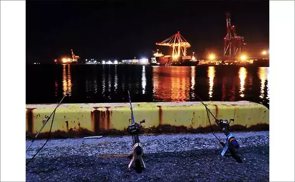 「霞ヶ浦埠頭のチョイ投げ釣りでアナゴ17匹キャッチ！【三重】良型40cm超も浮上」の画像