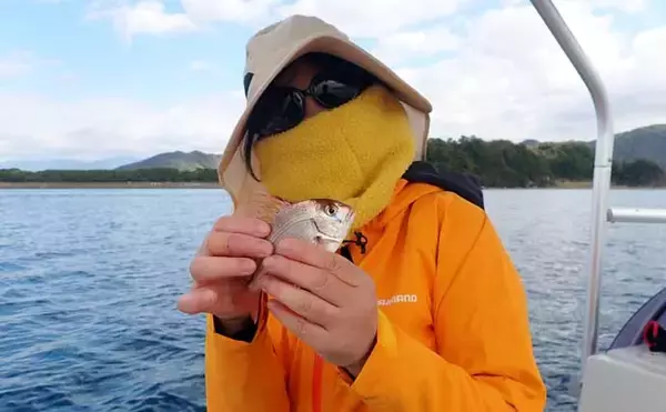 「沼津沖ボート釣りでシロアマダイを狙う【静岡】 置き竿にアタリ連発の不思議」の画像