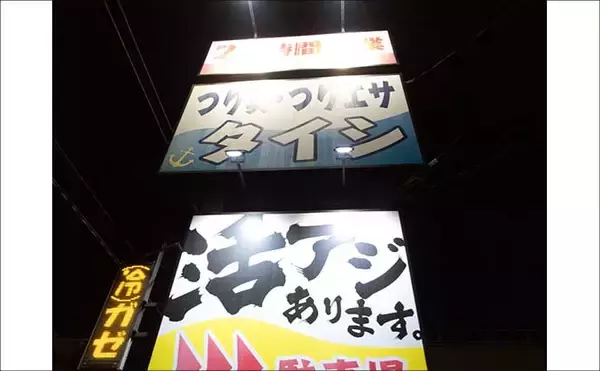 「沼津沖ボート釣りでシロアマダイを狙う【静岡】 置き竿にアタリ連発の不思議」の画像