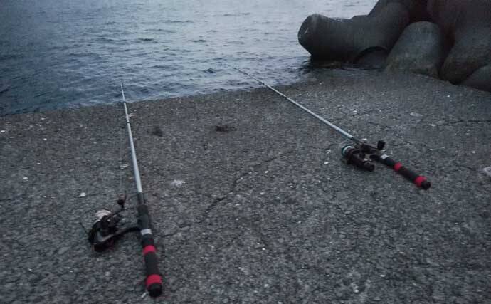 東伊豆のウツボ釣りで68cm本命　夏のビールのお供に唐揚げが最高？