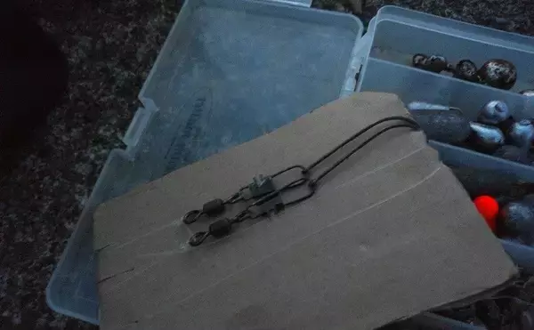 「東伊豆のウツボ釣りで68cm本命　夏のビールのお供に唐揚げが最高？」の画像