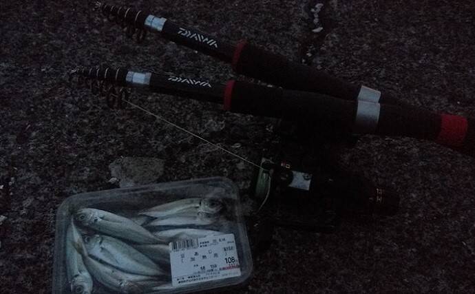 東伊豆のウツボ釣りで68cm本命　夏のビールのお供に唐揚げが最高？