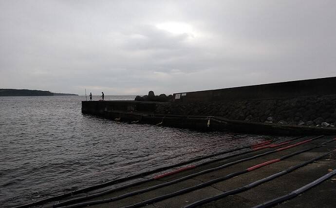 東伊豆のウツボ釣りで68cm本命　夏のビールのお供に唐揚げが最高？