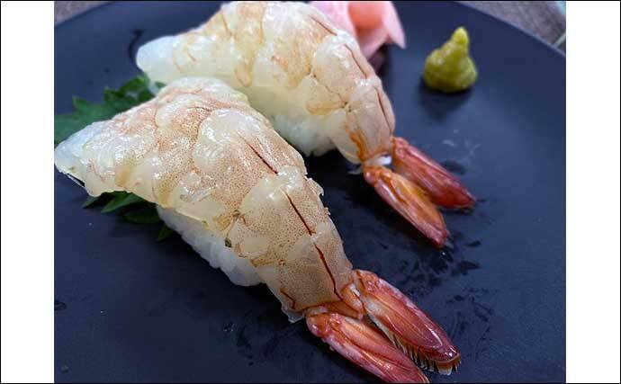 日本でも近年増えている【ハラル認証】食品　寿司ネタ用水産加工品にも