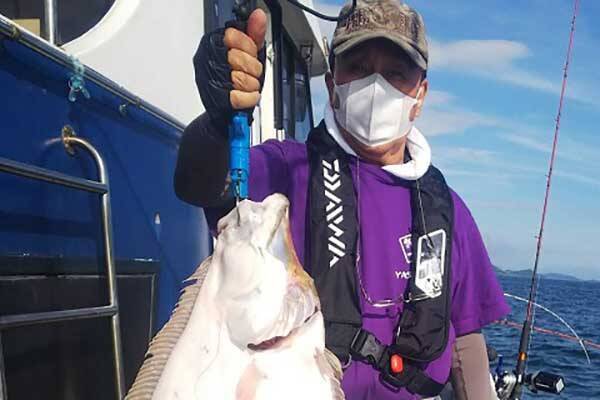 【釣果速報】尾鷲湾でハタ類にワラサが絶賛好ヒット中！（三重）