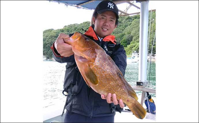 【釣果速報】尾鷲湾でハタ類にワラサが絶賛好ヒット中！（三重）