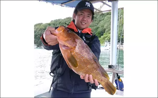 「【釣果速報】尾鷲湾でハタ類にワラサが絶賛好ヒット中！（三重）」の画像