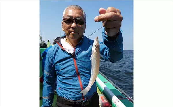 「東京湾キス・アナゴリレー船釣果レポート：両本命アタリ頻発で満喫【吉野屋・千葉】」の画像
