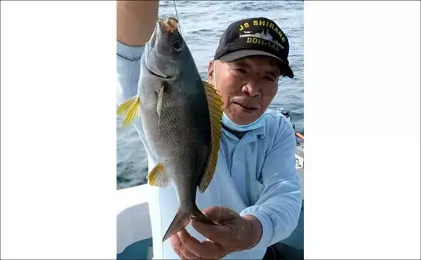 「南伊勢沖のイサキ釣りで40cm級含め数釣り成功【三重】御座沖ではマダイ50cmもキャッチ」の画像
