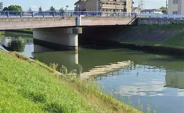 「「大型ヒットに備えよう！」リバーシーバスゲームで70cm頭に良型を連打【千葉】」の画像