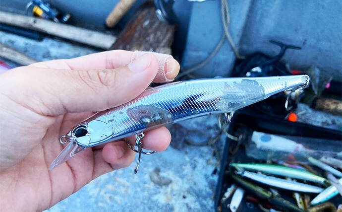 伊勢湾奥キャスティングゲームで「サワラカッター2発」の洗礼に泣く　ツバスは連発