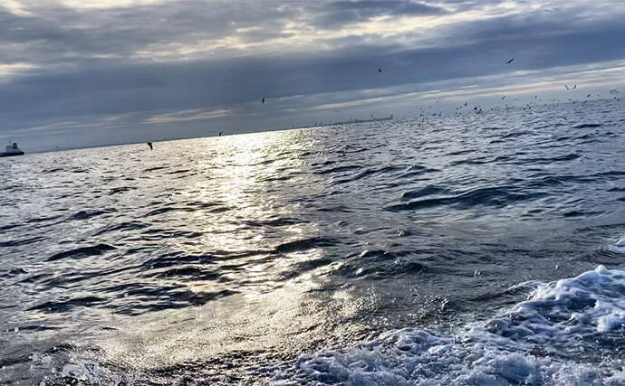 伊勢湾奥キャスティングゲームで「サワラカッター2発」の洗礼に泣く　ツバスは連発