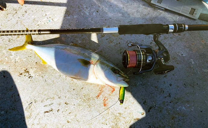 伊勢湾奥キャスティングゲームで「サワラカッター2発」の洗礼に泣く　ツバスは連発