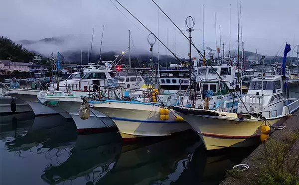 「五ヶ所湾ボートエギング大会に参戦【三重】ウネリに苦戦も優勝者はアオリ11杯」の画像