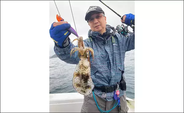 「五ヶ所湾ボートエギング大会に参戦【三重】ウネリに苦戦も優勝者はアオリ11杯」の画像