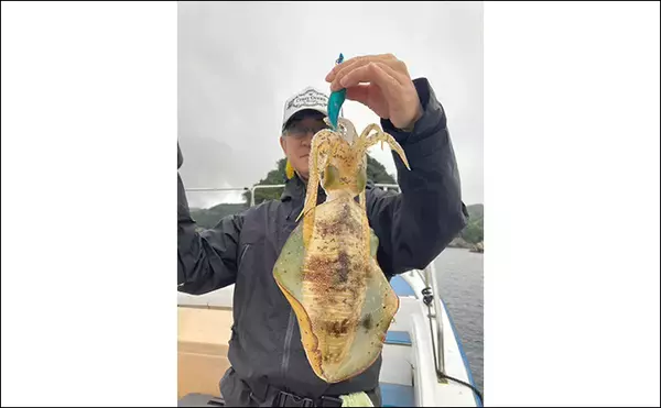 「五ヶ所湾ボートエギング大会に参戦【三重】ウネリに苦戦も優勝者はアオリ11杯」の画像