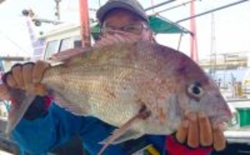 【沖釣り釣果速報】島原沖のマダイ便で4kg級浮上！青物＆アコウも好調（大分・熊本）