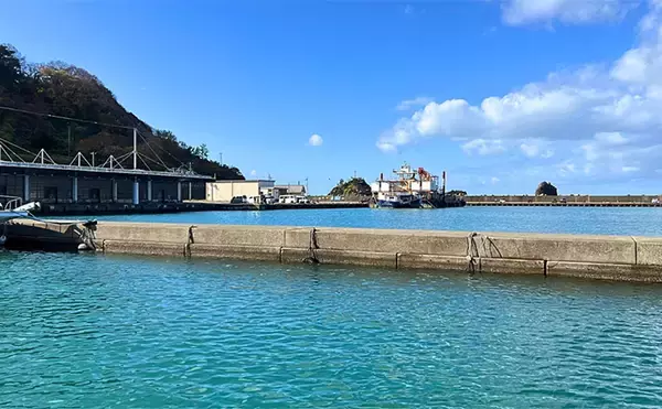 「「10kg超えブリが続々！」上越沖ジギングで腹パン寒ブリをキャッチ【こうゆう丸】」の画像