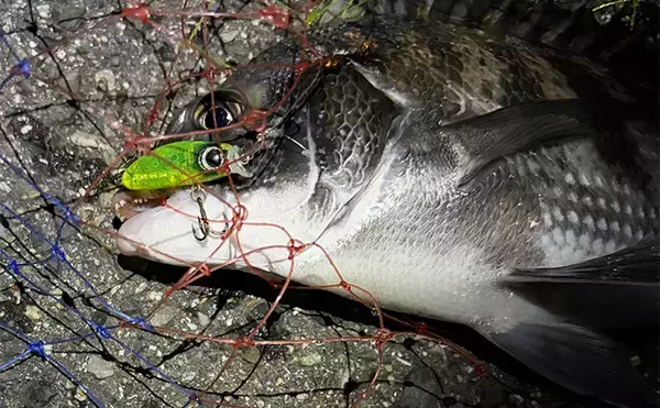 「ランディングネットとシャフトの選び方　ネットの材質と足場の高さから考えよう」の画像